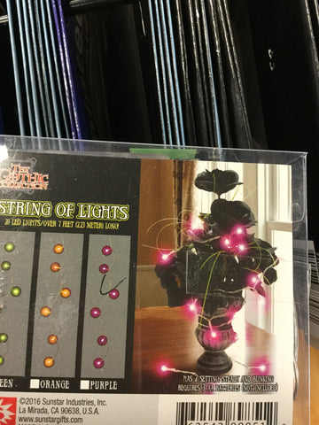 String of Lights