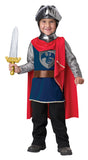 Gallant Knight-Child Costume