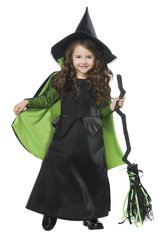 Wicked Witch of Oz-Toddler Costume
