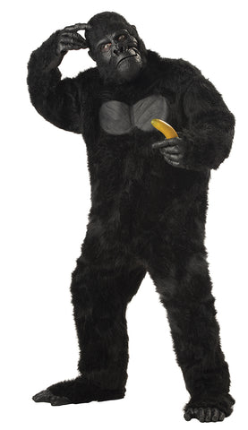 Gorilla-Adult