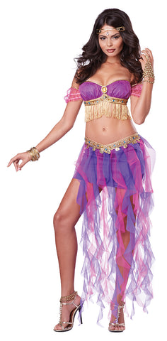 Belly Dancer-Adult Costume