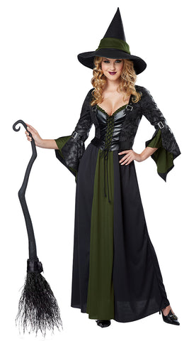 Witch Classic-Adult - ExperienceCostumes.com
