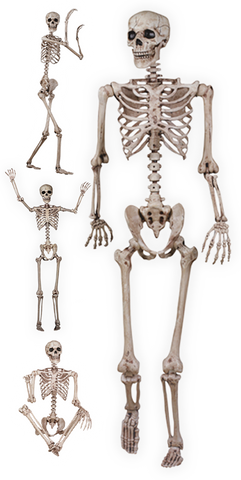 Pose-N-Stay Skeleton