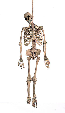 Skeleton