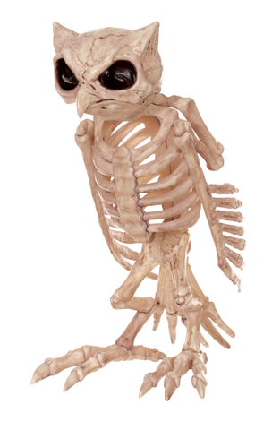 Skeleton-Owl