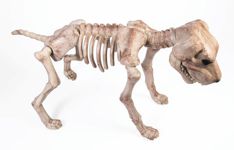 Skeleton Dog