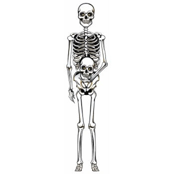 Skeleton Cut Out