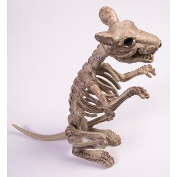 Skeleton Rat