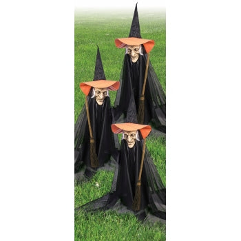 Witchly Group