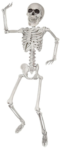 Pose & Hold Lifesize Skeleton