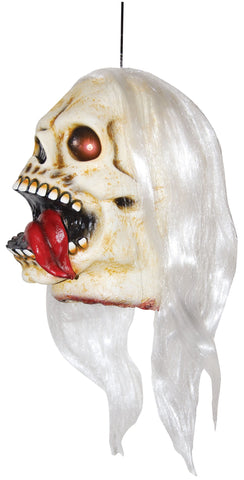 Hanging Head with White Hair