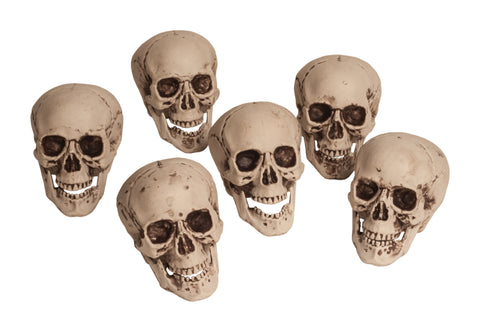 Skulls