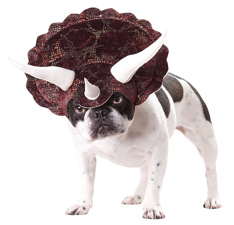 Triceratops-Pet Costume