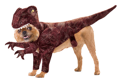 Pet Costume-Raptor