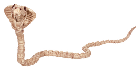 Skeleton-Cobra Snake