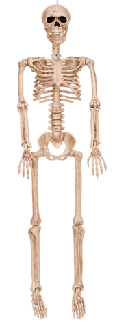 Skeleton Jr.