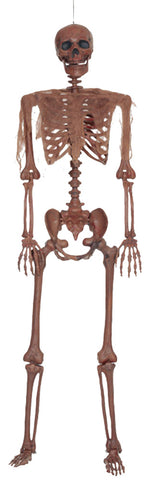 Decaying Pose-N-Stay Skeleton