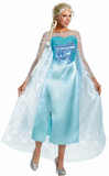 Frozen Elsa Deluxe Costume-Adult Costume