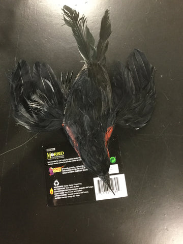 Dead Crow