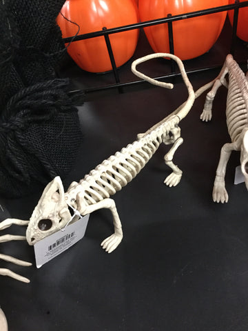 Skeleton-Lizard